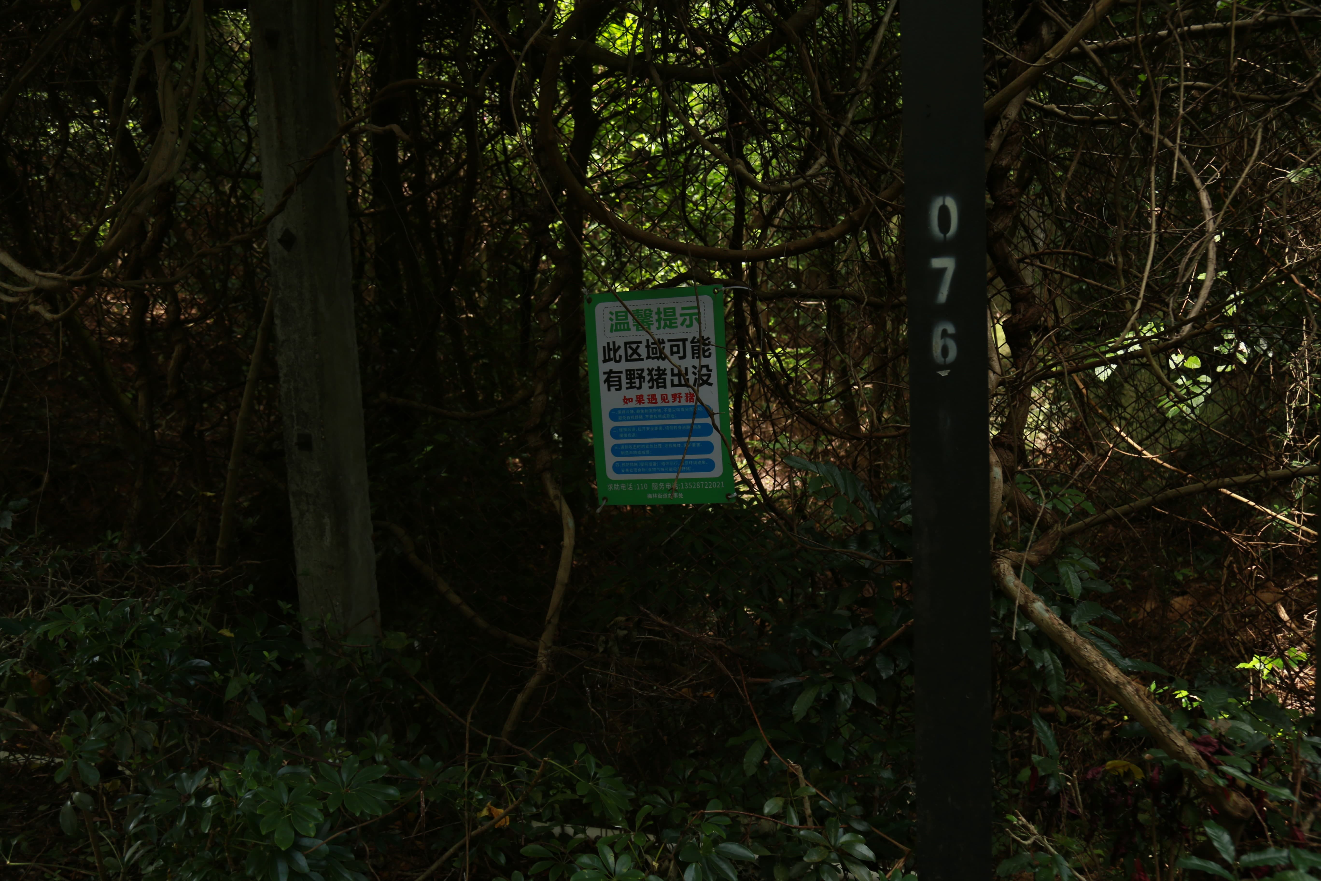 野猪出没标识